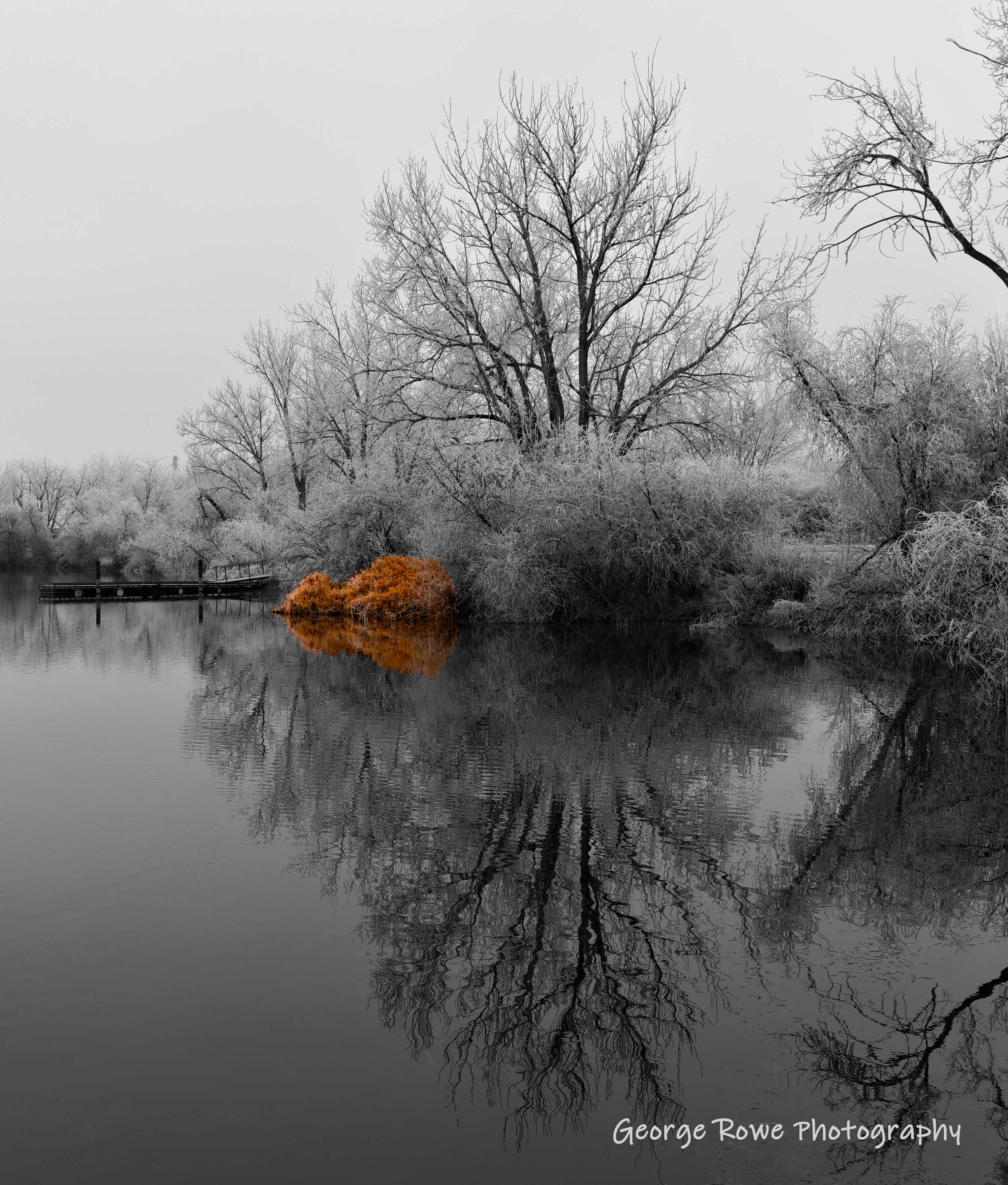 Artistic-IMG_6767_rev1_rg