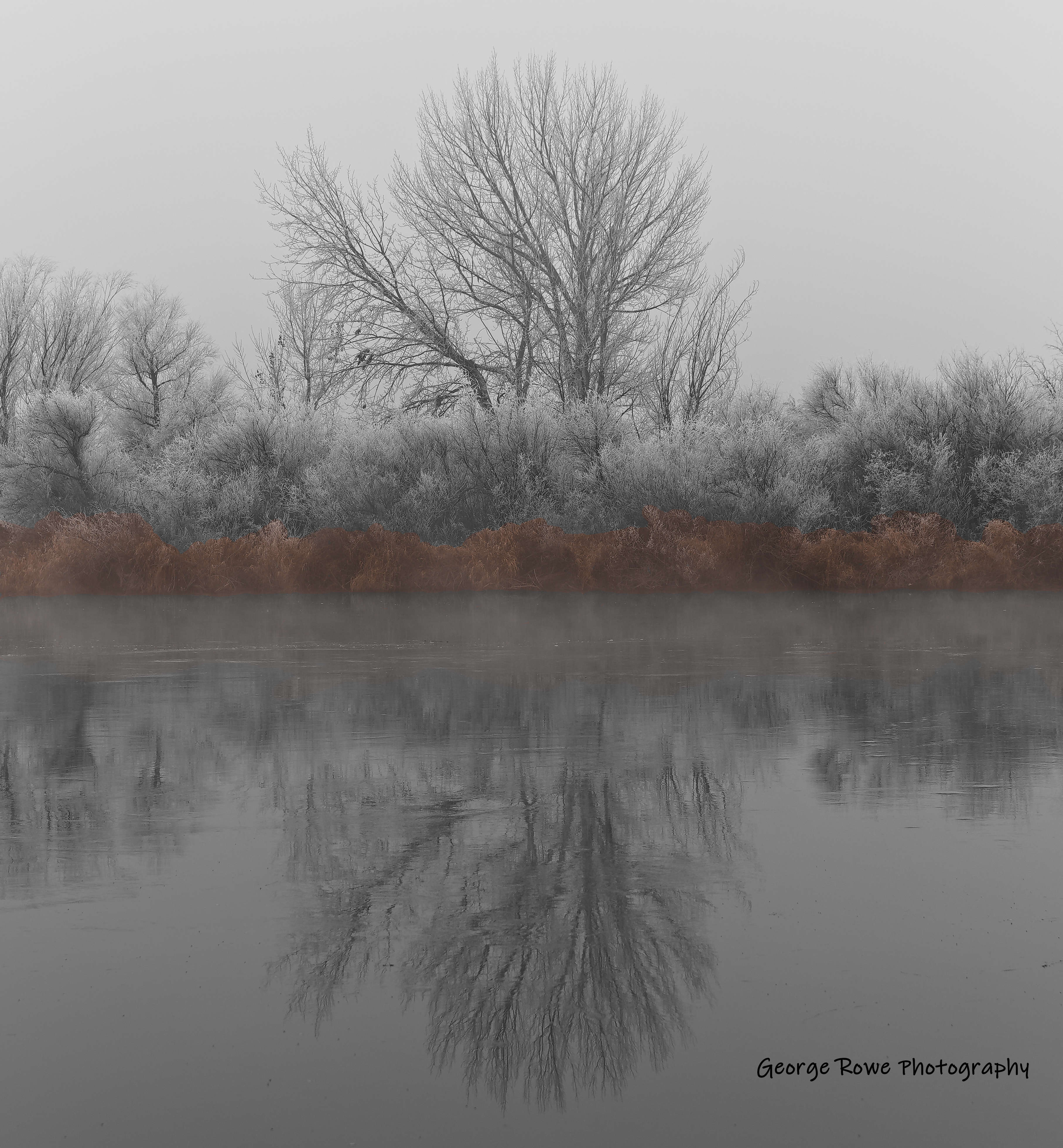 Artistic-IMG_7467_rgc