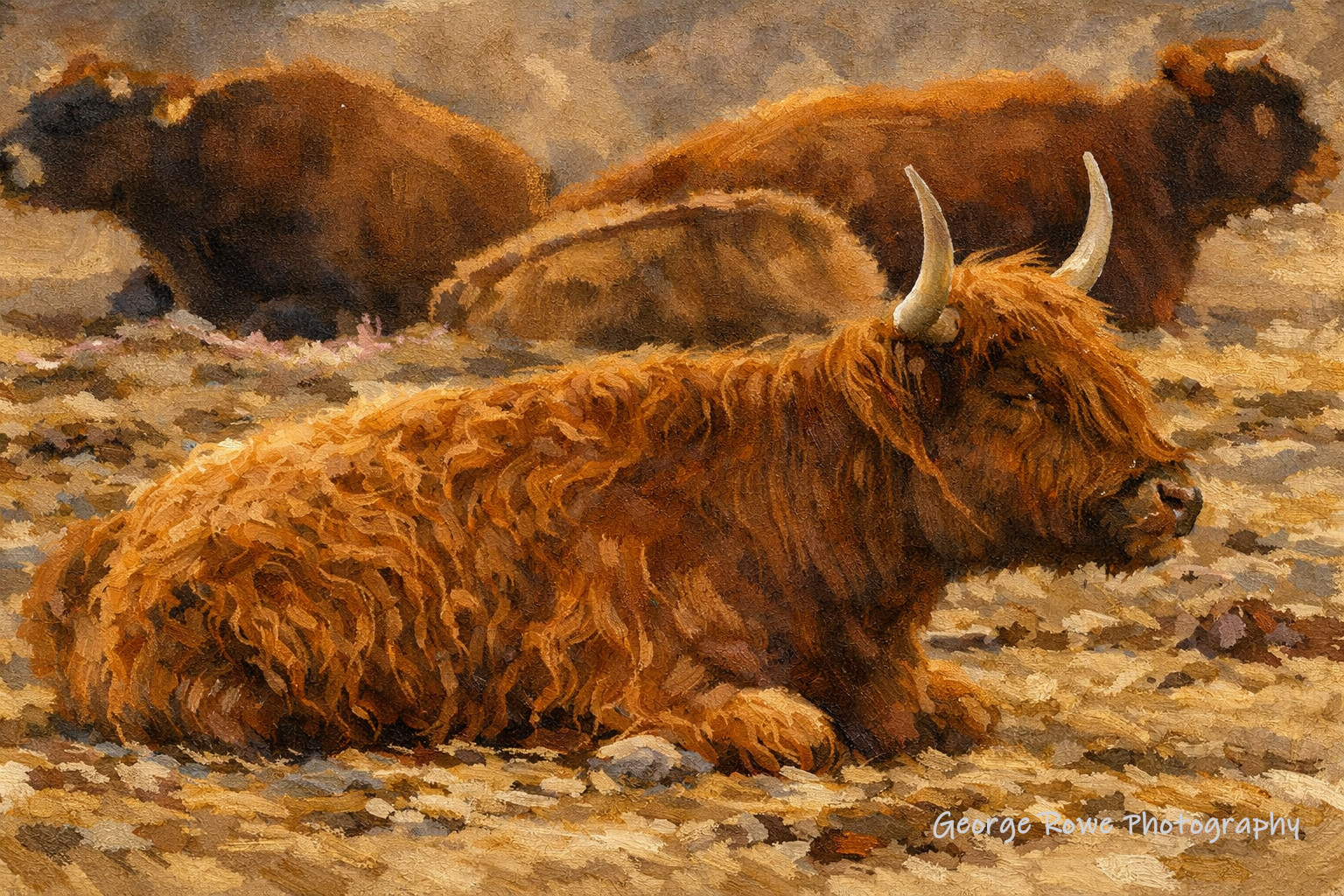 Artistic-IMG_7610_ao