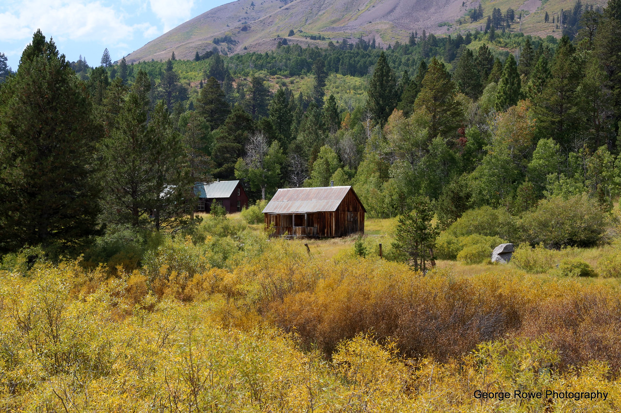 Nature-Photo 1