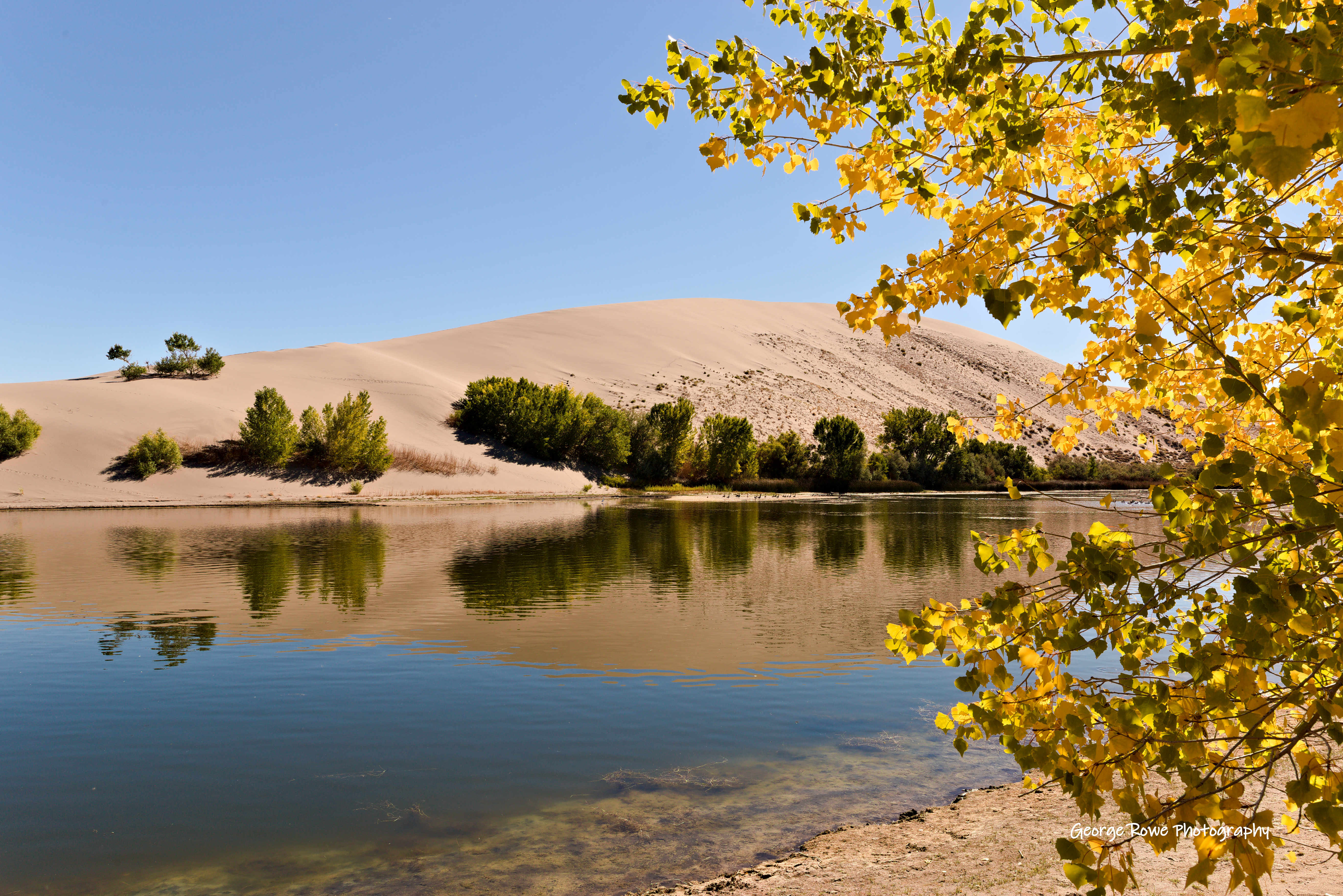 Nature-Photo 11
