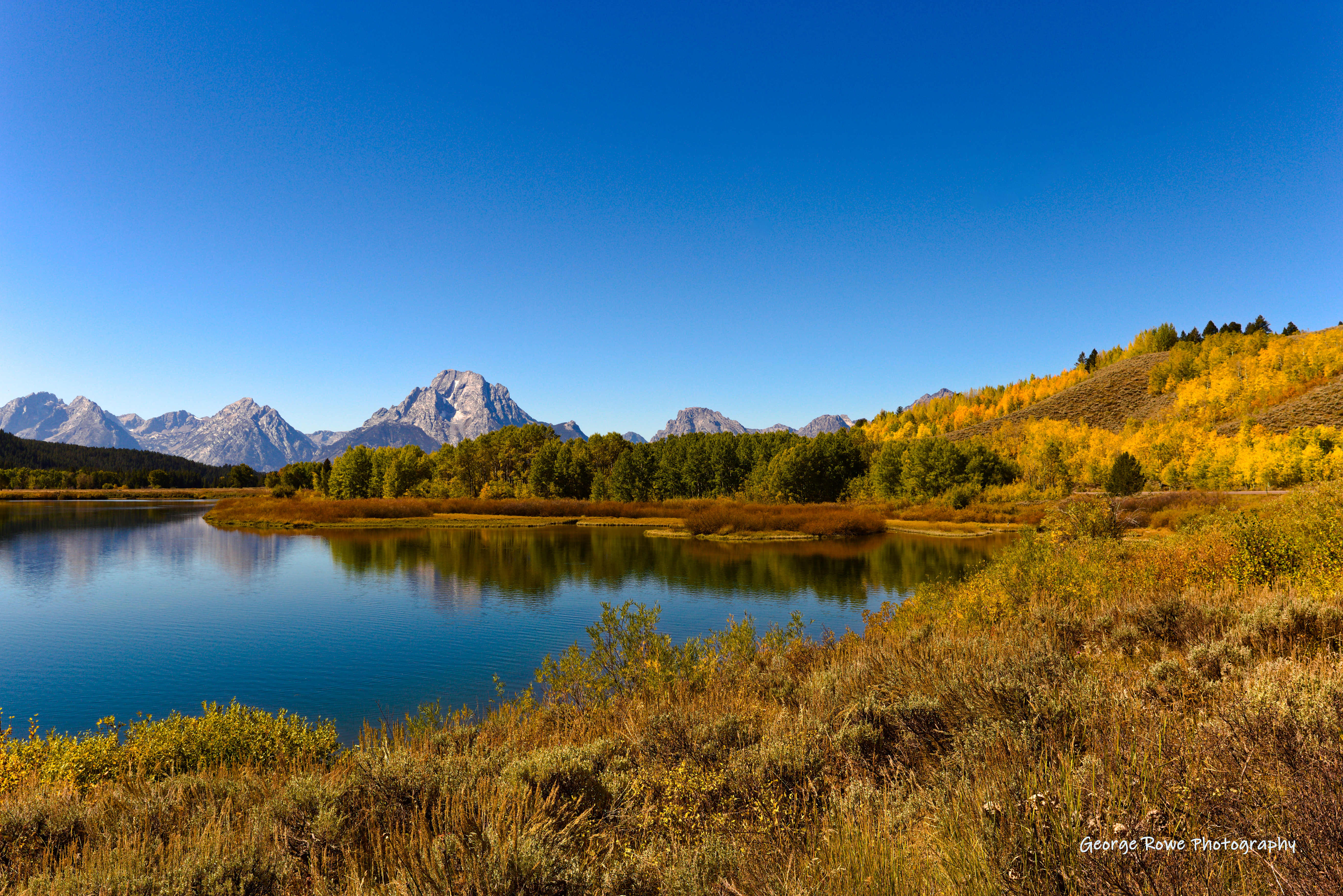 Nature-Photo 8